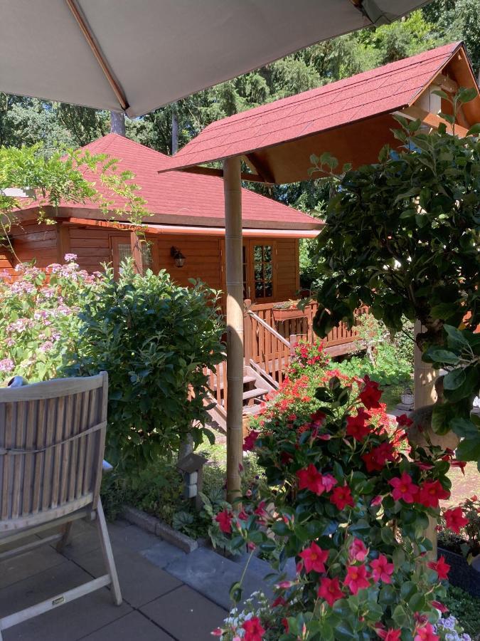 B&B Porcini Ermelo Exterior photo